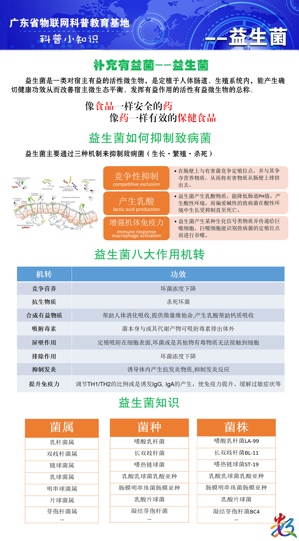 单页介绍（益生菌）