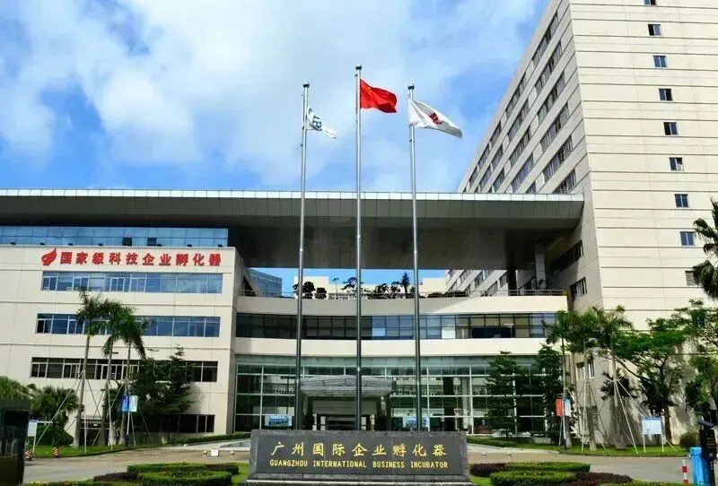 1763953730668706.jpg 3.jpg